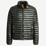 Sena - Short Down Jacket - Herrer - Kombu Green