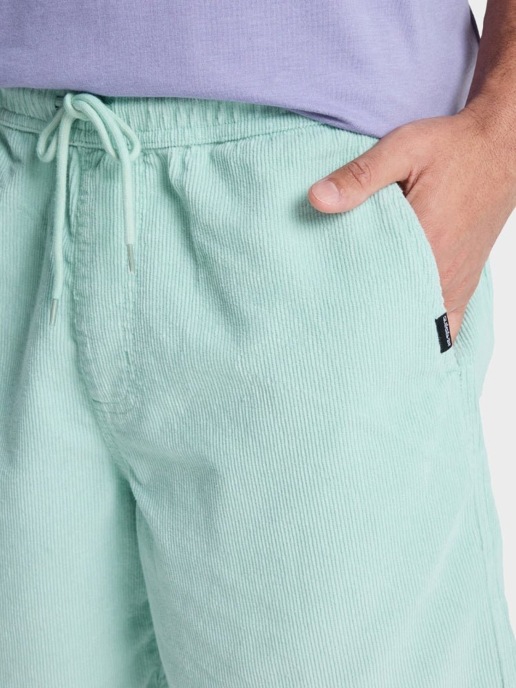 Quicksilver Taxer Cord Fløjls Shorts - Herre - Turquish