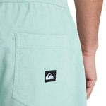 Quicksilver Taxer Cord Fløjls Shorts - Herre - Turquish