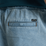 Billabong Larry Denim Shorts i fløjl - Herre - Bleach
