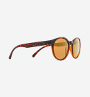 Red Bull Spect Eyewear  - Spect EVER Solbriller - Havanna