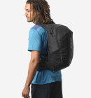 Salomon - Salomon Trailblazer 20L rygsæk - Black/Alloy